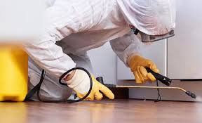 Real Estate Pest Inspections in Elmsford, NY